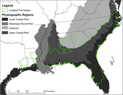 Economics of Southern Pines With and Without Payments for Environmental Amenities in the US South